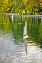 Remote controlled sailing model boat in the Central Park, New York
