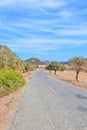 Remote country road surrounded by dried subtropical landscape in Karpas Peninsula, Northern Cyprus