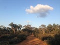 Remote desert road with trees, blue sky and a single cloud Royalty Free Stock Photo