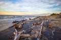 Remote Driftwood Beach On The Shore Of Lake Superior Royalty Free Stock Photo