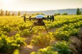 Remote drone surveillance: agricultural growth in nature
