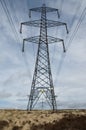 Remote Electricity Pylon