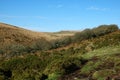 Wistman`s Wood Dartmoor England