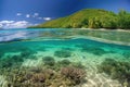 remote island beach, with crystal-clear water and tropical fish swimming in the shallows