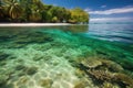 remote island beach, with crystal-clear water and tropical fish swimming in the shallows