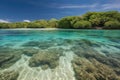 remote island beach, with crystal-clear water and tropical fish swimming in the shallows