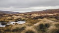 A remote landscape where the wind rushes over the remote moor