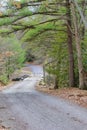 Remote Mountain Road