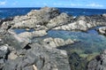 Remote Natural Pool Along the Coast of Aruba Royalty Free Stock Photo