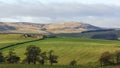 Remote Northumbrian Farm Royalty Free Stock Photo