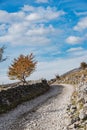 Remote rural road trough traditional pasture farms in Bosnia