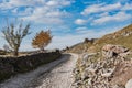 Remote rural road trough traditional pasture farms in Bosnia