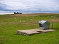 In a remote, rural setting, traditional sheep farming using modern technology with an automated, stainless steel feeder
