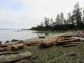 A remote sandy beach along the west coast trail. There is a rowboat lying in the sand Royalty Free Stock Photo
