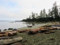 A remote sandy beach along the west coast trail. There is a rowboat lying in the sand