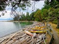 A remote shoreline with a beach covered in driftwood and a row of many kayaks sitting on the beach.