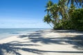 Remote Tropical Brazilian Beach Palm Tree Shadows