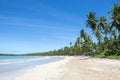 Remote Tropical Brazilian Beach Palm Trees Royalty Free Stock Photo