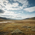 A remote tundra with wide-open spaces Royalty Free Stock Photo