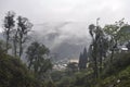 Remote village with pine trees with cloud and mist Royalty Free Stock Photo