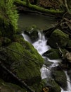 Rugged Remote Forest Waterfall