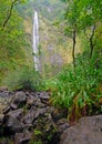 Remote waterfall in rainforest in Hawaii Royalty Free Stock Photo