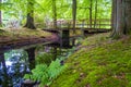 Remote wooden forest bridge