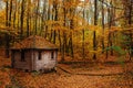 Remoted old wooden shack of ranger in autumn forest