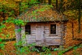 Remoted old wooden shack of ranger in autumn forest