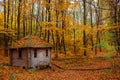 Remoted old wooden shack of ranger in autumn forest