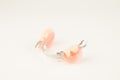 removable dental prostheses Royalty Free Stock Photo