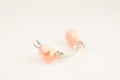 removable dental prostheses Royalty Free Stock Photo