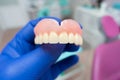 Removable denture in the hands of a doctor Royalty Free Stock Photo