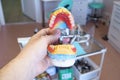 Removable denture in the hands of a doctor Royalty Free Stock Photo