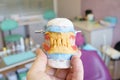 Removable denture in the hands of a doctor Royalty Free Stock Photo