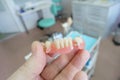 Removable denture in the hands of a doctor Royalty Free Stock Photo