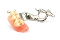 Removable partial denture Royalty Free Stock Photo