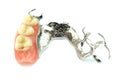 Removable partial denture Royalty Free Stock Photo