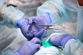 Removal of caries under General anesthesia in a child. The hands of a dentist in gloves.Copy of the space.An unrecognizable photo