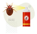 Remove Bed Bugs - Genus Cimex - Stock Illustration