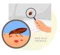 Remove Bed Bugs - Genus Cimex - Stock Illustration