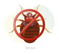 Remove Bed Bugs - Genus Cimex - Stock Illustration