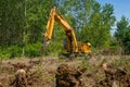 Remove roots with excavator Royalty Free Stock Photo