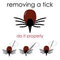 Remove a tick