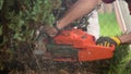 Removing dead garden trees using chainsaw