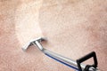 Removing dirt from carpet with professional cleaner indoors Royalty Free Stock Photo