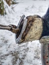 Removing hoof shoes. Blacksmith is getting of worn out horseshoes