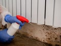 A woman in a protective suit and a respirator sprays a special antifungal spray on the mold-infested wall under the Royalty Free Stock Photo