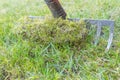 Removing old moss and dead grass from the lawn. Royalty Free Stock Photo