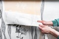Removing old wallpaper from the wall. Royalty Free Stock Photo